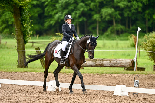 Goldene Schärpe Pferfde in Löningen 2026 | 12062026Dressur B _0405 