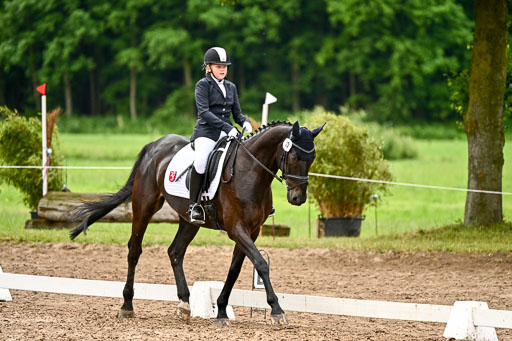 Goldene Schärpe Pferfde in Löningen 2026 | 12062026Dressur B _0406 
