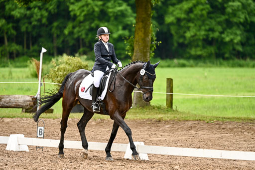 Goldene Schärpe Pferfde in Löningen 2026 | 12062026Dressur B _0407 