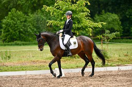Goldene Schärpe Pferfde in Löningen 2026 | 12062026Dressur B _0409 