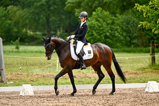 Goldene Schärpe Pferfde in Löningen 2026 | 12062026Dressur B _0410 
