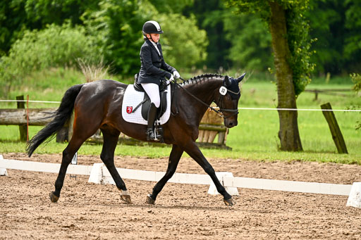 Goldene Schärpe Pferfde in Löningen 2026 | 12062026Dressur B _0413 