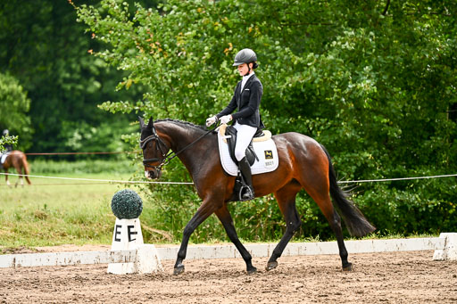 Goldene Schärpe Pferfde in Löningen 2026 | 12062026Dressur B _0415 
