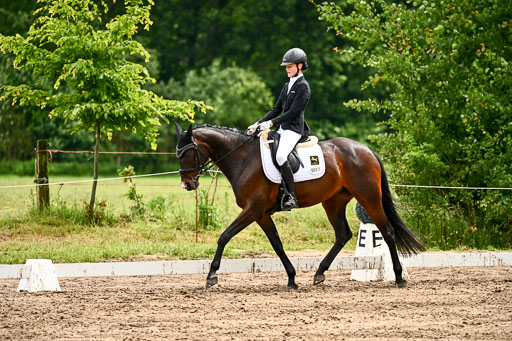 Goldene Schärpe Pferfde in Löningen 2026 | 12062026Dressur B _0416 