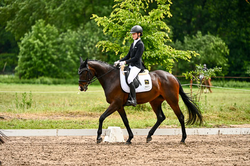 Goldene Schärpe Pferfde in Löningen 2026 | 12062026Dressur B _0417 