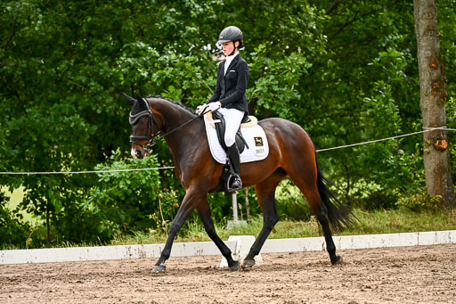 Goldene Schärpe Pferfde in Löningen 2026 | 12062026Dressur B _0418 