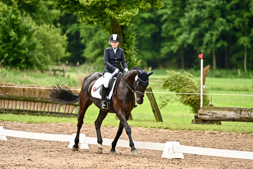 Goldene Schärpe Pferfde in Löningen 2026 | 12062026Dressur B _0419 