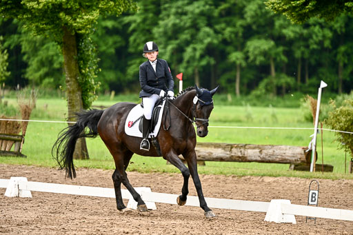 Goldene Schärpe Pferfde in Löningen 2026 | 12062026Dressur B _0422 
