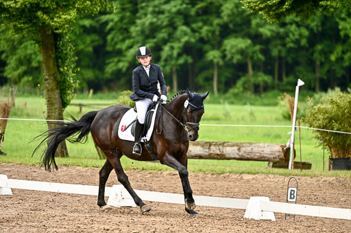 Goldene Schärpe Pferfde in Löningen 2026 | 12062026Dressur B _0423 