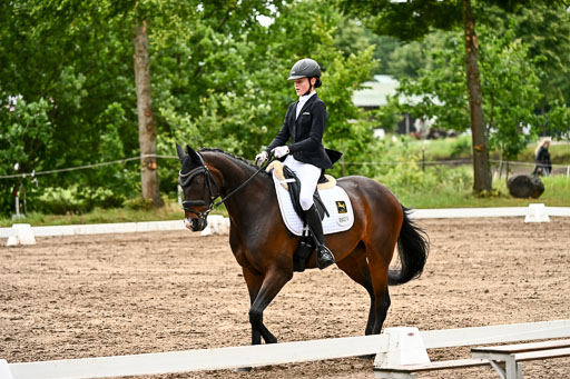 Goldene Schärpe Pferfde in Löningen 2026 | 12062026Dressur B _0424 