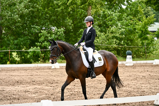 Goldene Schärpe Pferfde in Löningen 2026 | 12062026Dressur B _0425 