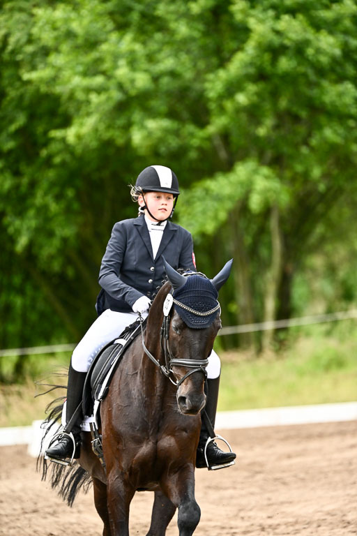 Goldene Schärpe Pferfde in Löningen 2026 | 12062026Dressur B _0427 