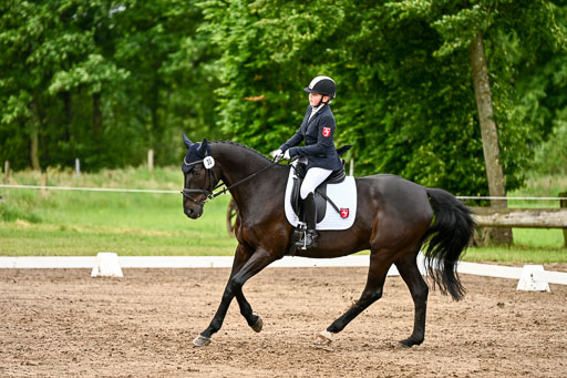 Goldene Schärpe Pferfde in Löningen 2026 | 12062026Dressur B _0428 