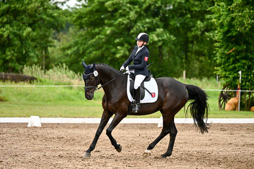 Goldene Schärpe Pferfde in Löningen 2026 | 12062026Dressur B _0429 