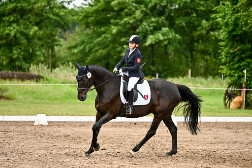 Goldene Schärpe Pferfde in Löningen 2026 | 12062026Dressur B _0430 