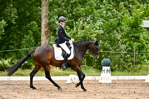 Goldene Schärpe Pferfde in Löningen 2026 | 12062026Dressur B _0431 