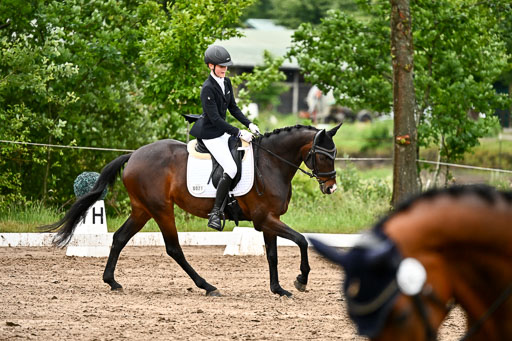 Goldene Schärpe Pferfde in Löningen 2026 | 12062026Dressur B _0432 