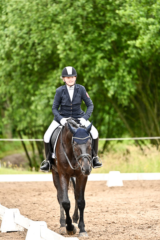 Goldene Schärpe Pferfde in Löningen 2026 | 12062026Dressur B _0434 
