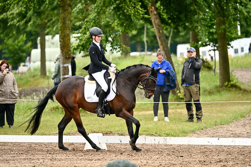 Goldene Schärpe Pferfde in Löningen 2026 | 12062026Dressur B _0436 