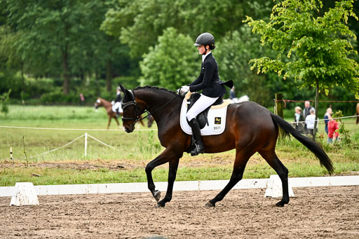 Goldene Schärpe Pferfde in Löningen 2026 | 12062026Dressur B _0441 