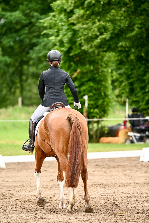 Goldene Schärpe Pferfde in Löningen 2026 | 12062026Dressur B _0442 