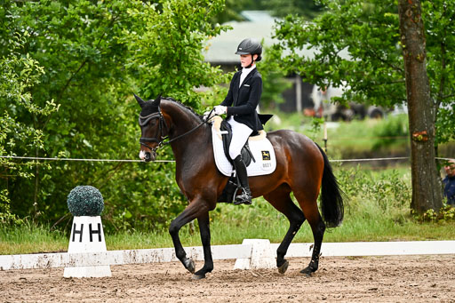 Goldene Schärpe Pferfde in Löningen 2026 | 12062026Dressur B _0443 