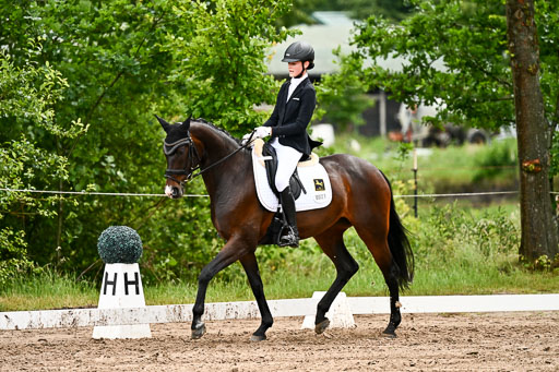 Goldene Schärpe Pferfde in Löningen 2026 | 12062026Dressur B _0444 