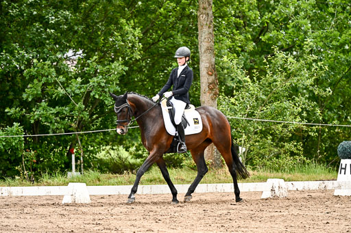 Goldene Schärpe Pferfde in Löningen 2026 | 12062026Dressur B _0445 