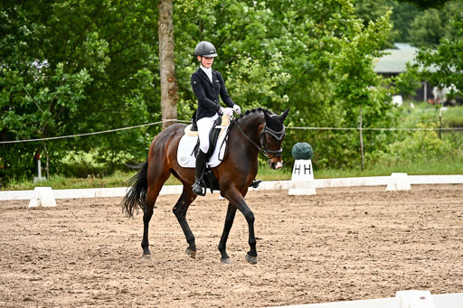 Goldene Schärpe Pferfde in Löningen 2026 | 12062026Dressur B _0447 
