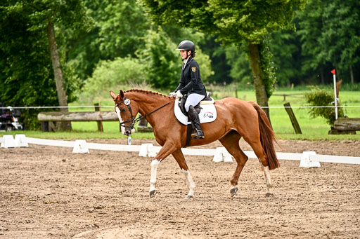 Goldene Schärpe Pferfde in Löningen 2026 | 12062026Dressur B _0448 