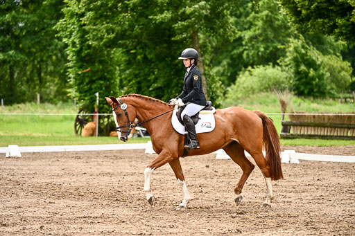 Goldene Schärpe Pferfde in Löningen 2026 | 12062026Dressur B _0449 