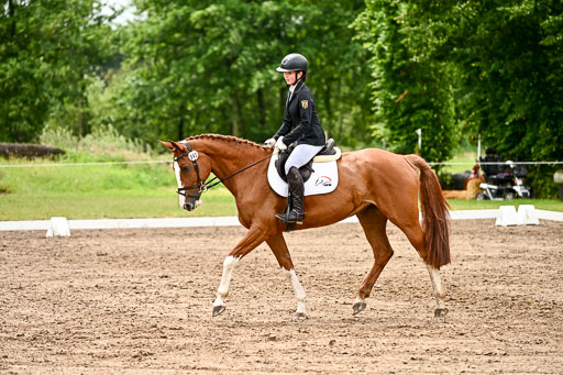 Goldene Schärpe Pferfde in Löningen 2026 | 12062026Dressur B _0450 