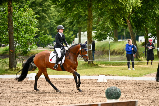 Goldene Schärpe Pferfde in Löningen 2026 | 12062026Dressur B _0451 