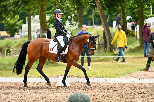 Goldene Schärpe Pferfde in Löningen 2026 | 12062026Dressur B _0453 