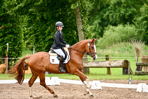 Goldene Schärpe Pferfde in Löningen 2026 | 12062026Dressur B _0455 
