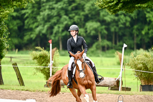 Goldene Schärpe Pferfde in Löningen 2026 | 12062026Dressur B _0456 