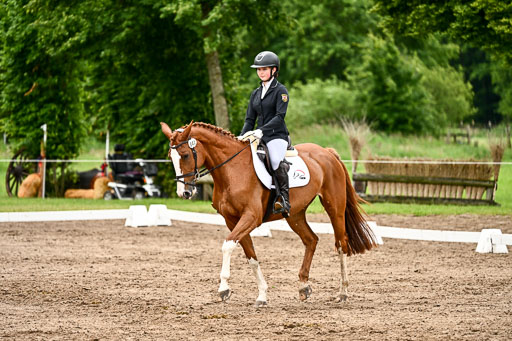 Goldene Schärpe Pferfde in Löningen 2026 | 12062026Dressur B _0458 