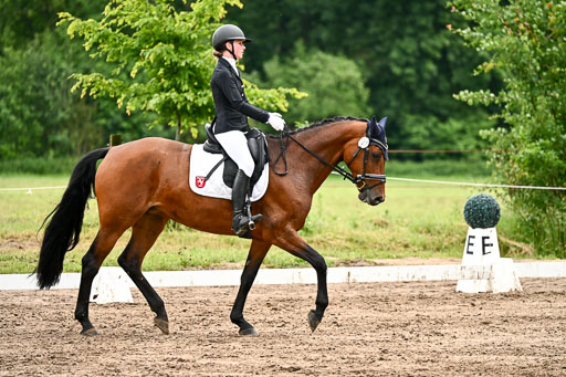 Goldene Schärpe Pferfde in Löningen 2026 | 12062026Dressur B _0459 