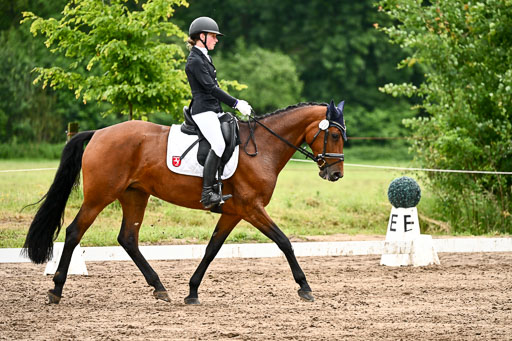 Goldene Schärpe Pferfde in Löningen 2026 | 12062026Dressur B _0460 