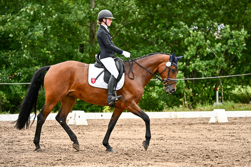 Goldene Schärpe Pferfde in Löningen 2026 | 12062026Dressur B _0461 