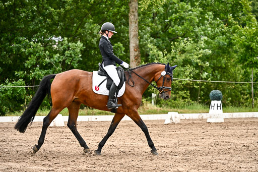 Goldene Schärpe Pferfde in Löningen 2026 | 12062026Dressur B _0462 
