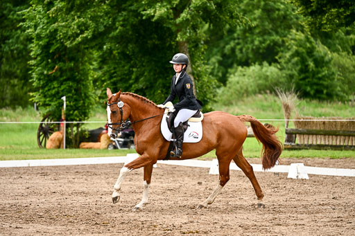 Goldene Schärpe Pferfde in Löningen 2026 | 12062026Dressur B _0463 
