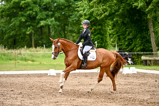 Goldene Schärpe Pferfde in Löningen 2026 | 12062026Dressur B _0464 