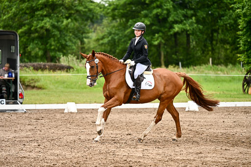 Goldene Schärpe Pferfde in Löningen 2026 | 12062026Dressur B _0465 