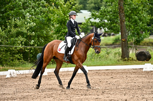 Goldene Schärpe Pferfde in Löningen 2026 | 12062026Dressur B _0466 