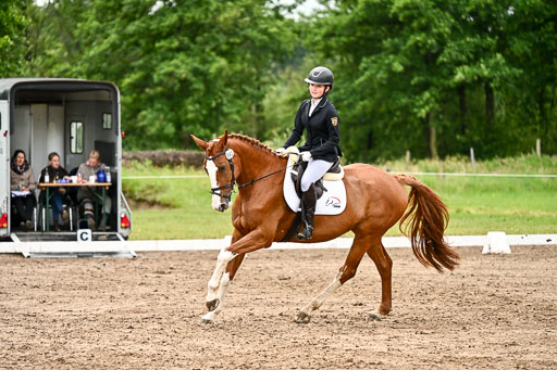 Goldene Schärpe Pferfde in Löningen 2026 | 12062026Dressur B _0468 