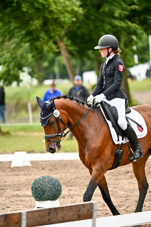 Goldene Schärpe Pferfde in Löningen 2026 | 12062026Dressur B _0471 