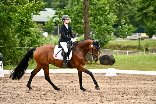 Goldene Schärpe Pferfde in Löningen 2026 | 12062026Dressur B _0472 