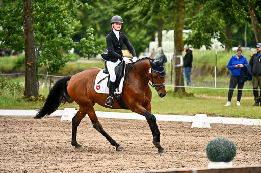 Goldene Schärpe Pferfde in Löningen 2026 | 12062026Dressur B _0473 