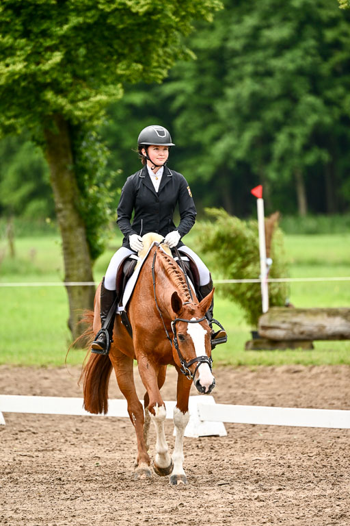 Goldene Schärpe Pferfde in Löningen 2026 | 12062026Dressur B _0474 